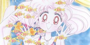 Chibiusas picture diary 1