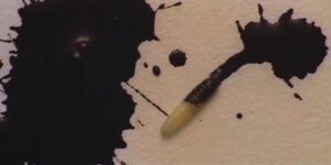 Maggot Inkblot
