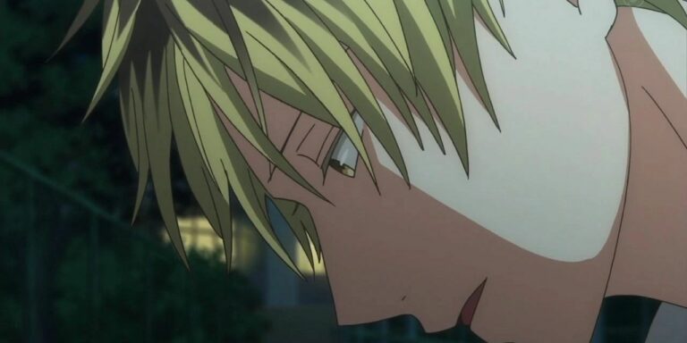 Hiiragi Kashima in Given Series