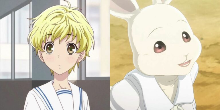 A collage of Momiji Sohma from Fruits Basket and Haru from Beastars