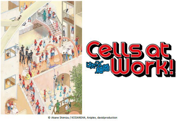 Adaptação live-action de 'Cells at Work' é anunciada