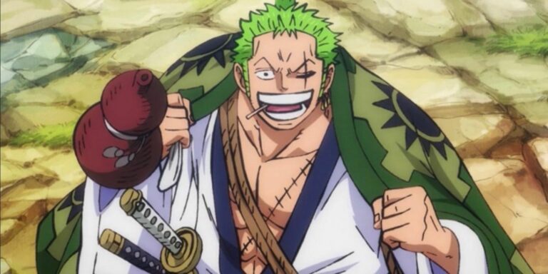 Zoro Excited to See Luffy