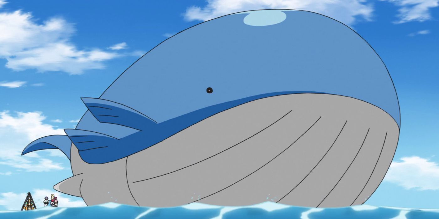 Wailord surfando no anime Pokémon