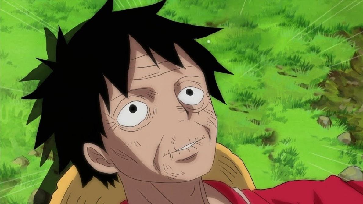 one-piece-health.jpg one-piece-health.jpg