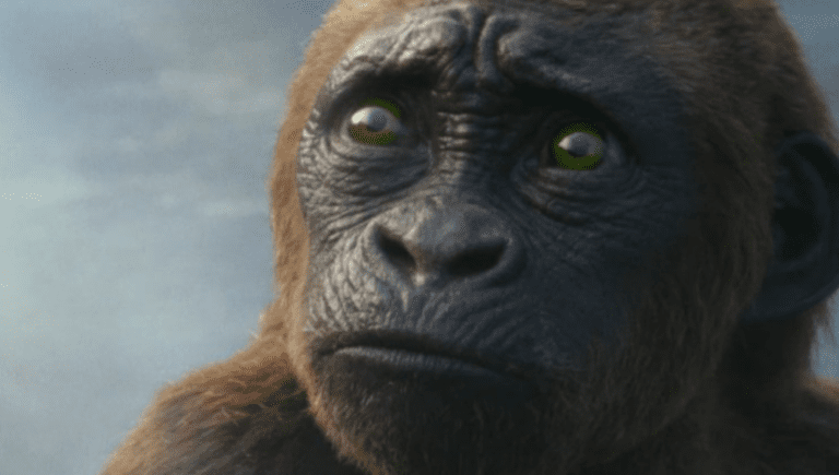 O Novo Império apresenta o Filho de Kong?